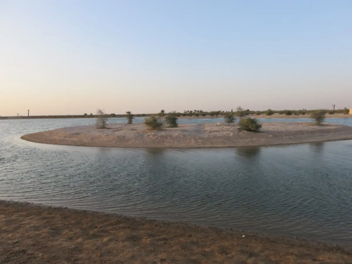 Al Qudra Lake in the evening