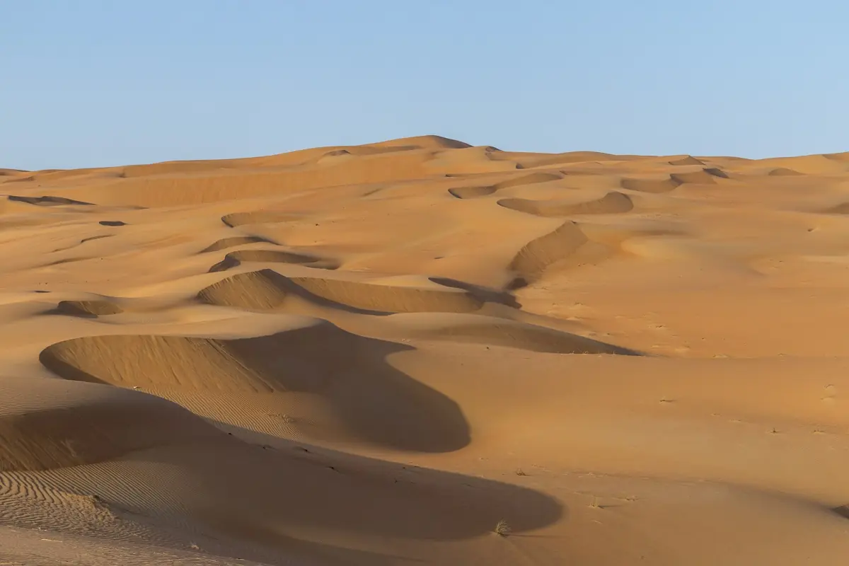Rippled dunes of the Rub al Khali in the UAE