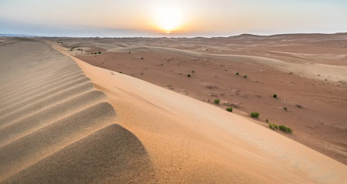 A sharp dune crest at sunset in the UAE desert
